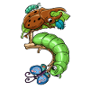 Insects 5 Birthday