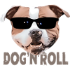 Dog 'n' Roll