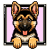 German Shepherd Pup