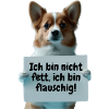Cute dog with sign