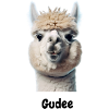 A funny llama says Gudee