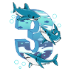 Requin du 3e anniversaire