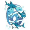 Requin du 6e anniversaire