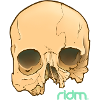Ridm Orange Skull