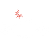 White Mountain Landscape