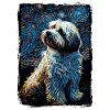 Havanese Starry Night