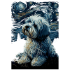 Havanese Starry Night