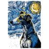 Galgo Español Nuit étoilée