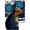 Capybara Nuit étoilée