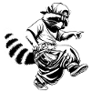 Hiphop Raccoon