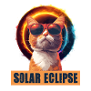 Sonnenfinsternis Katze