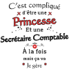 Princesse Secrétaire Comptable