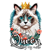 Ragdoll is the queen of my home