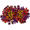 Blumen, Blumenwiese, Blumenmeer