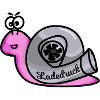 Turboschnecke Rosa