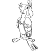 Cartoon Parrot