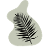 Palm leaf
