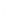 Budgie Love