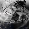 Grusel Spinne