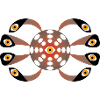 Eyes