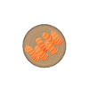 L’équipe Gravlax
