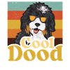 Bernedoodle Dog