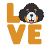 Bernedoodle Dog