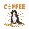 Chien Bernedoodle