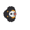 Bernedoodle Dog