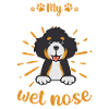 Bernedoodle Dog