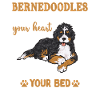 Bernedoodle Dog