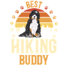Chien Bernedoodle