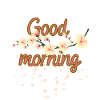 Good morning