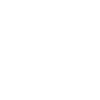 2006