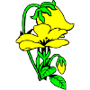 Blumen