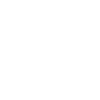 Zimbabwe - Lion