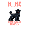 Home - Black Russian Terrier
