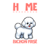 Accueil - Bichon Frisé