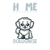 Home - Bolognese