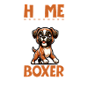 Home - Boxer