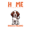Home - Bracco Italiano