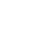 Pony-Pilot