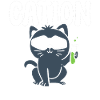 Cation Labortechniker