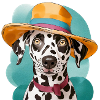 Drôle de dalmatien avec chapeau