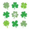 Shamrocks and Clovers