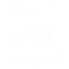 Love Fishing