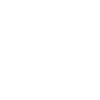 1994 Édition limitée