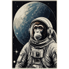 Astronaut Monkey