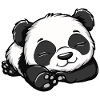 Bébé Panda endormi