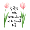 T Shirt Tulips rise, reminding us to stand tall